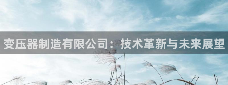 彩神通官网下载：变压器制造有限公司：技术革新与未来展望