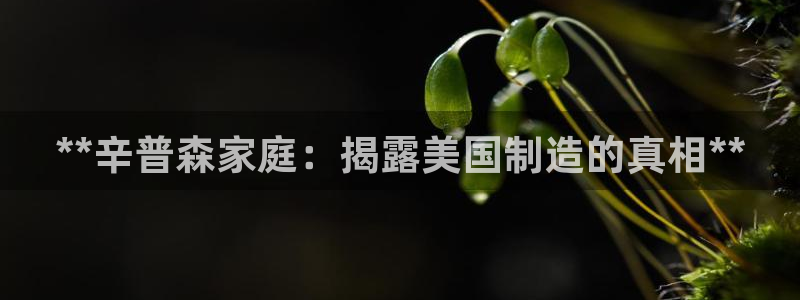 新版彩神v8登录教程：**辛普森家庭：揭露美国制造的真相**