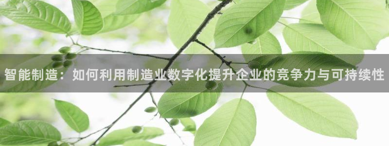 彩神v8首页：智能制造：如何利用制造业数字化提升企业的竞争力与可持续性