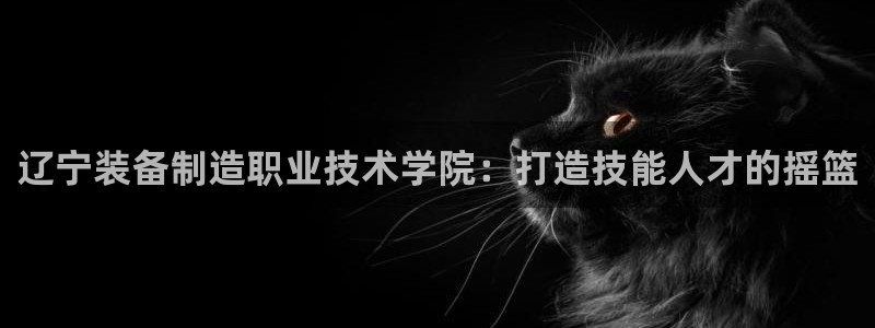 在彩神网输了六万多怎么拿回来：辽宁装备制造职业技术学院：打造技能人才的摇篮