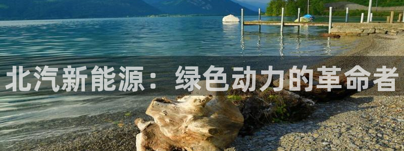 彩神ix官网是哪个公司的：北汽新能源：绿色动力的革命者