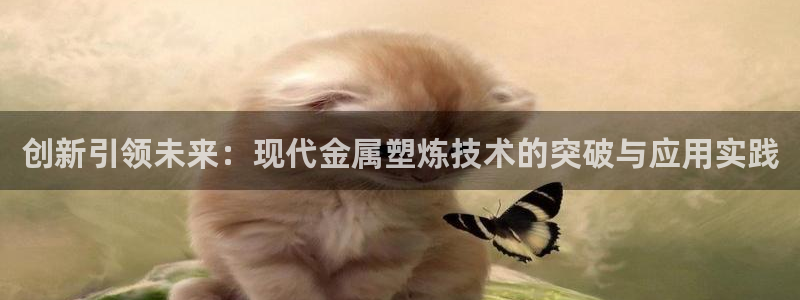 有谁知道彩神争霸的网址：创新引领未来：现代金属塑炼技术的突破与应用实践