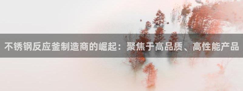 彩神vlll官方网：不锈钢反应釜制造商的崛起：聚焦于高品质、高性能产品