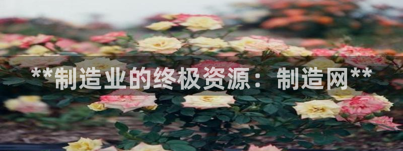 彩神赢钱了吗是真的吗：**制造业的终极资源：制造网**