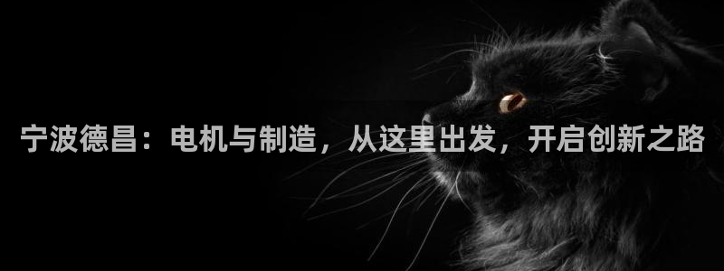 下载彩神乐发V1：宁波德昌：电机与制造，从这里出发，开启创新