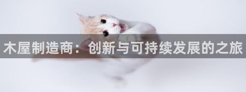 彩神8彩平台客服：木屋制造商：创新与可持续发展的之旅