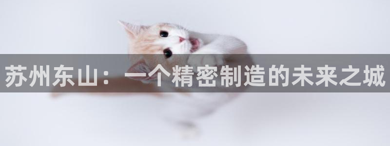 彩神可以提现吗：苏州东山：一个精密制造的未来之城