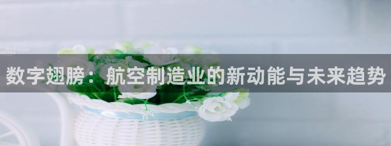 彩神用户登录：数字翅膀：航空制造业的新动能与未来趋势
