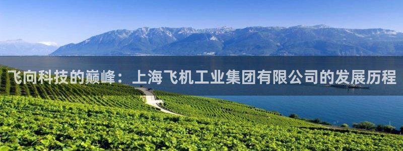 彩神8彩平台客服