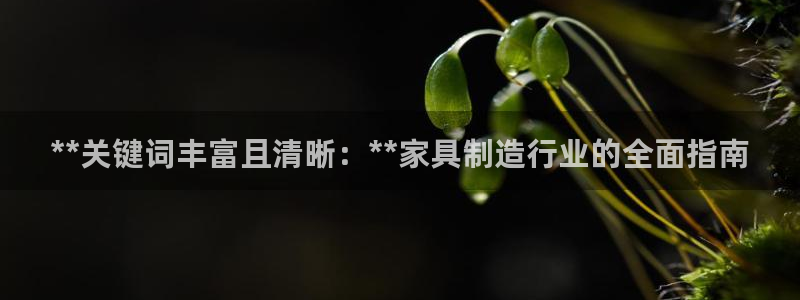 彩神赢钱了吗是真的吗：**关键词丰富且清晰：**家具制造行业的全面指南