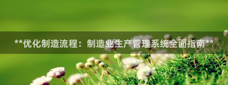 彩神vii手游下载：**优化制造流程：制造业生产管理系统全面指南**