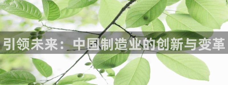 彩神8官网下：引领未来：中国制造业的创新与变革