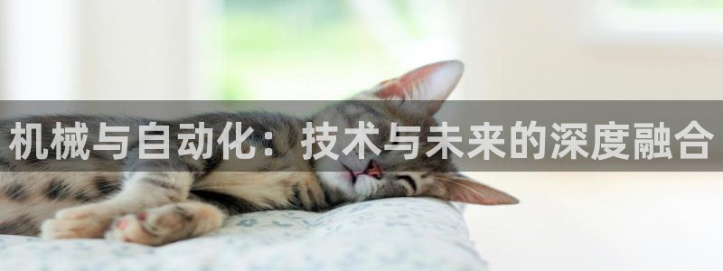 彩神v争霸是啥：机械与自动化：技术与未来的深度融合