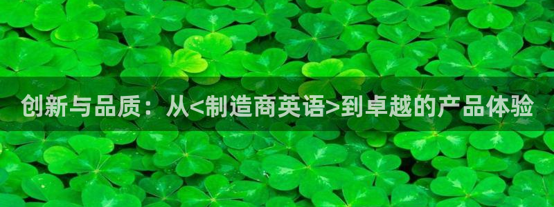 彩神广告有限公司：创新与品质：从<制造商英语>到卓越的产品体验