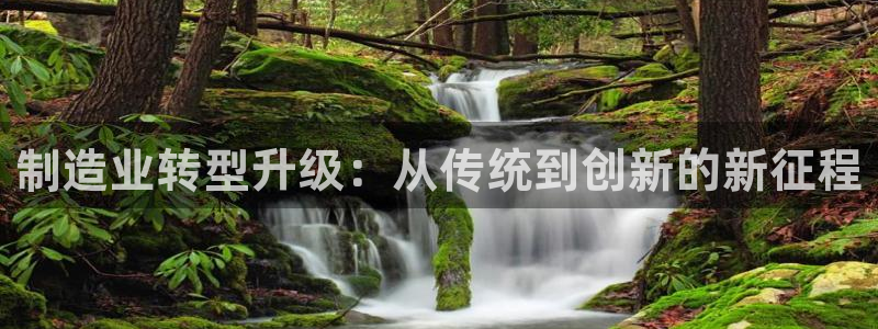 彩神vll首页：制造业转型升级：从传统到创新的新征程