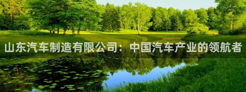 彩神vip购彩大厅下载：山东汽车制造有限公司：中国汽车产业的领航者