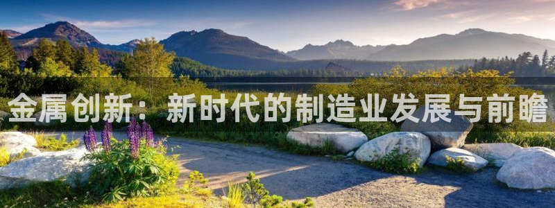 彩神购彩-购彩大厅入口老版：金属创新：新时代的制造业发展与前瞻